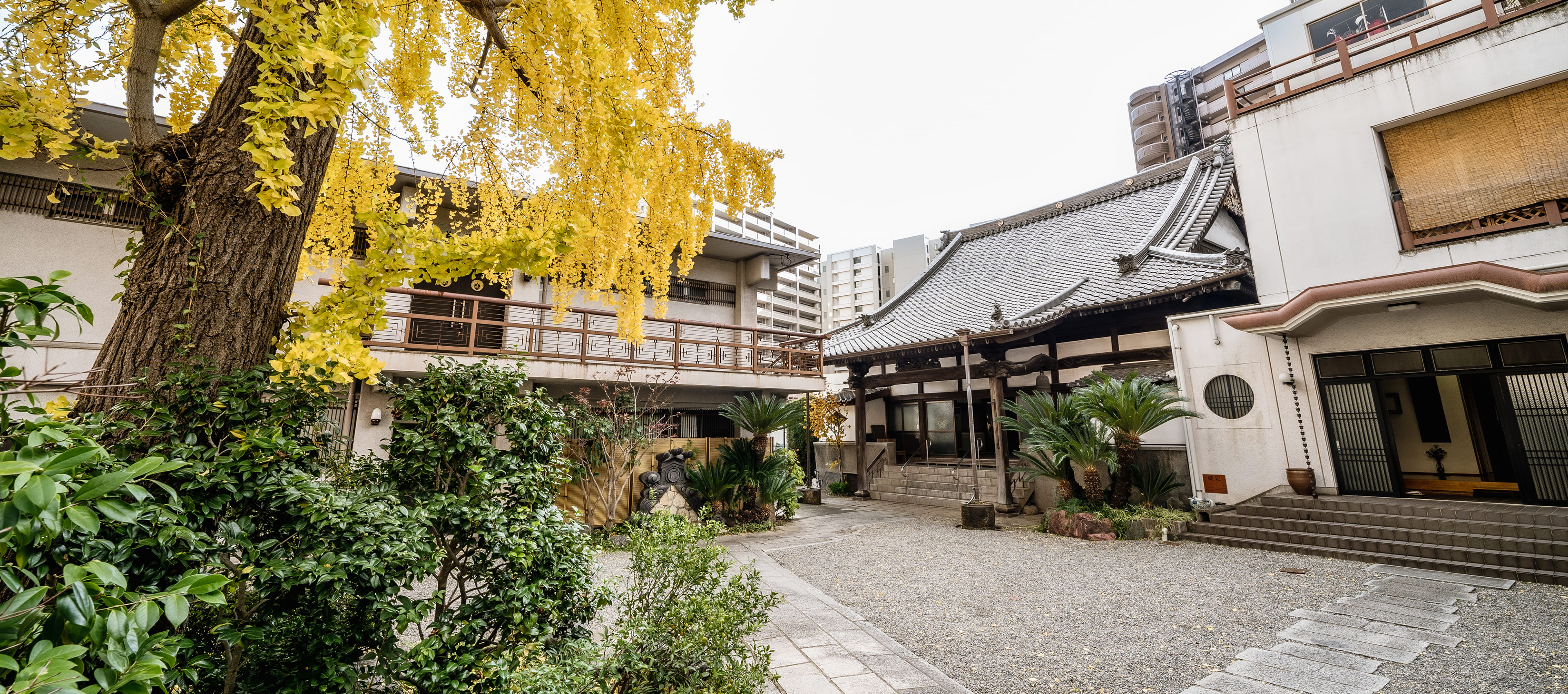 小倉北区のお寺善龍寺の境内
